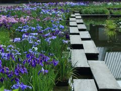 静岡　花めぐり～加茂荘花鳥園、香勝寺、極楽寺