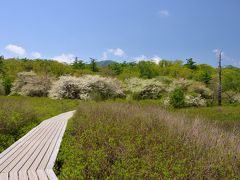 ズミの花が満開！　初夏の戦場ヶ原