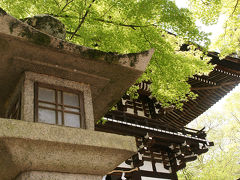 関西散歩記～2015 京都・京都市右京区～