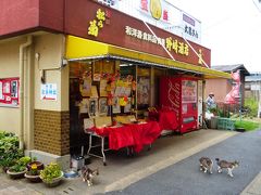 佐賀・唐津方面日帰りレンタカードライブの旅【高島島内の開運グッズ販売店と、お祈り猫ちゃん編】（２０１５年６月）