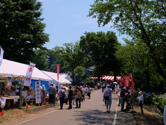 ２０１５　花菖蒲シリーズー５　最終編　遺跡(女堀）の中の　伊勢崎　赤堀花菖蒲まつり　下