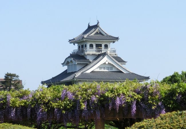 GWも混雑回避 〈最終日 長浜豊公園編〉