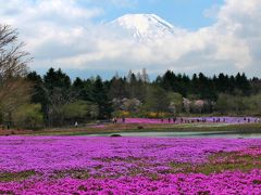 富士山麓花巡り