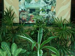 ボルネオ島、時々マレー半島　ムル～KL～マラッカ～コタキナバル　6泊7日　