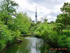 【東京散策30-2】紫陽花やたくさんの季節の花が咲く向島百花園