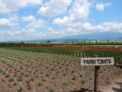 初夏の富良野