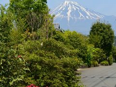 2015年一時帰国　富士編