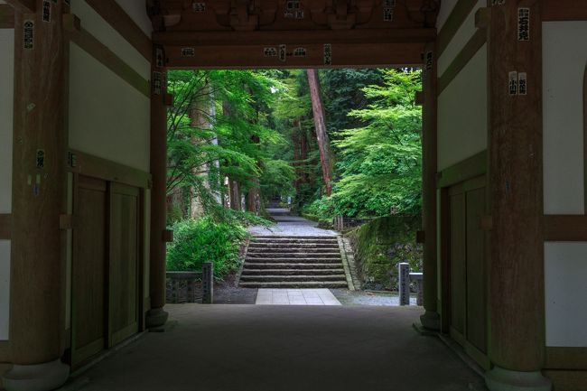 天国への階段？～大雄山最乗寺～