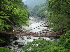 大塚国際美術館が観たくて