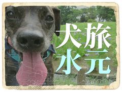 犬旅　～水元～