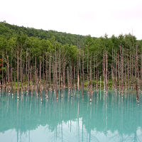 2007年夏の北海道旅行は道北ぐるっと一周り（その4、原付で大雪山の中腹、白金温泉へ）