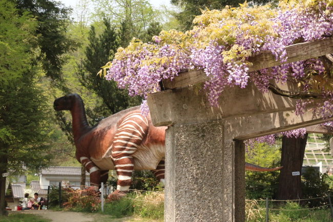 岡山・笠岡にあるカブトガニ博物館。<br /><br />その横に併設されてる本格的恐竜公園をぶらり。<br /><br /><br /><br />子供も大人も楽しめます。<br /><br /><br /><br />