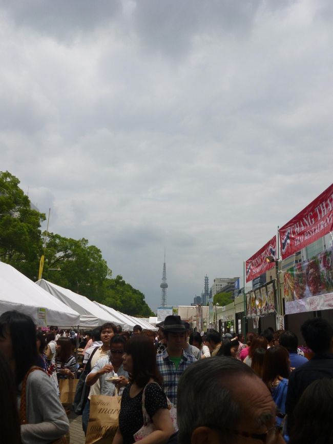 今回は毎年恒例の名古屋でタイフェスティバルがあったので、行ってきました。でも、やはり料理がだんだん少なくなっているように感じました。