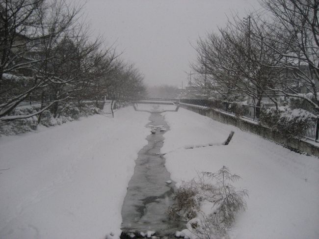 2014年2月8日：東京豪雪、野川西之橋も大雪です