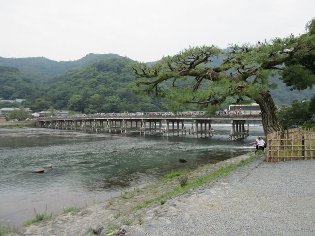 　６月中旬は韓国釜山に行く予定でしたが、MERSの関係から中止。予定があいたので、ネットを調べていると深夜バスの格安セ－ルを発見。そこで、数え切れない程行っている京都市内と人生二回目の比叡山に、なるべくお金をかけないで楽しむことに挑戦しました。<br /><br />　PM10:30に夜行バスで東京駅を出発し京都へ。翌朝5:00、まず市バス専用一日乗車カ－ドを購入し、西本願寺からスタ－ト。東本願寺、法然寺、真如寺周辺、嵐山などを回り、午後は南禅寺周辺をめぐり、１日目終了。<br /><br />　２日目は、比叡山横断と男山へ(②比叡山編へ)<br /><br />