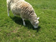 1泊2日で癒しのドライブ～ガーデン街道・動物そして大地～