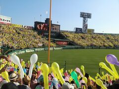 2015年6月　関西の旅　第２日　大坂の陣ゆかりの地、甲子園