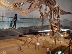 [2015年06月] 福井、見所いっぱいの恐竜博物館