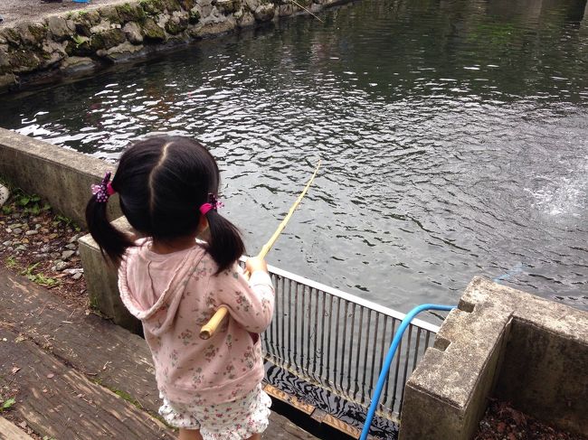 <br />那須高原の旅・２日間の最終編です。<br /><br />２日目も相変わらずの梅雨空でしたが予定通り観光を楽しみ お目当ての那須和牛も食べて満足した那須高原の旅となりました。