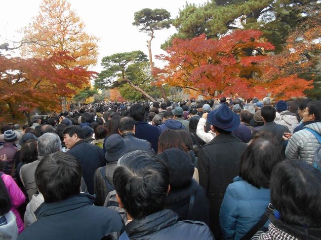 たまには「ベタ」な観光旅行1412　「皇居乾通り 一般公開」　　～東京～