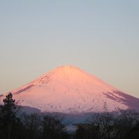 2015年1月　新春・富士山からパワーを吸収！