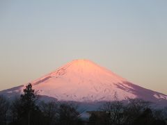 2015年1月　新春・富士山からパワーを吸収！