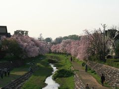 2014年4月8日：野川沿いを散策、野川公園～武蔵野公園