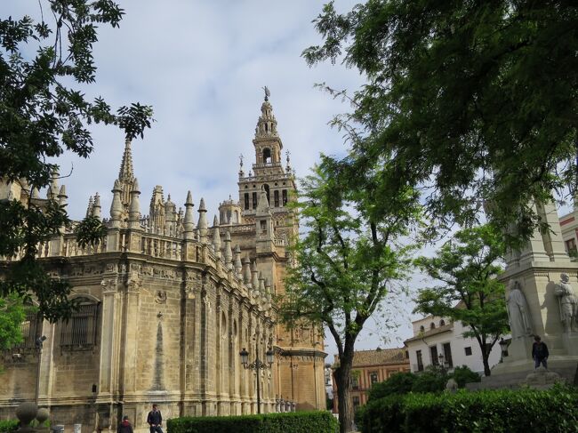 +++ セビリア +++<br /><br />昨夜からの不安定な天気は続いており、セビリア観光の大聖堂から<br />スペイン広場におとずれる頃には、傘を使うことになりました。<br /><br />世界文化遺産の「セビリア大聖堂」は、スペイン最大のカテドラル、<br />1401年に着工し約120年を経て完成しました、世界で三番目の大きさとのことです。<br />ちなみに一番目はローマのサン・ピエトロ大聖堂、二番目はロンドンの<br />セント・ポール大聖堂と紹介されています。<br />カテドラルの見どころの一つ、「クリストファー・コロンブスの墓（棺）」がありますが、私は他の絵画や彫刻類に夢中で、気がついた時には大聖堂の外でした。<br /><br />「ヒラルダの塔」にはのぼらず、アルカサルを外から眺め次の観光の場所、<br />「スペイン広場」むかいます。<br />移動途中、「チュロスとホットチョコレート」で小休憩をとりました、美味しかった。<br /><br />スペイン広場に着いた頃には傘の出番となり、「春祭り」の時期のセビリアは、天気が良い・暖かいと思いこんでいましたので、肌寒さにちょっと予想外でした。<br />個人的な感想ですが、「スペイン広場」は写真のスポットとしては良いかもしれませんが、見どころとしてはイマイチでした。<br /><br />昼食は、レストラン「サン・マルコ」、旅の五日目でようやく私にあった食事をができました、<br />料理のみならず、お店の雰囲気、スタッフ共に満足できるレストランでした、お薦めのお店です。<br /><br />午後は、バルセロナへ空路で移動です。<br /><br />★★★　2015　スペイン8日間旅物語　⑦（セビリア編）　★★★<br /><br />■五日目 4/26(日)<br /><br />+++セビリア観光+++<br />●セビリア大聖堂<br />○アルカサル<br />○ヒラルダの塔<br />●スペイン広場<br /><br />セビリア15:45 → バルセロナ17:15  VY2221 <br /><br />NHサンツ・バルセロナ泊