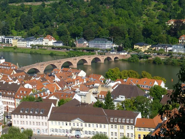 家族の急病で当日キャンセルせざるを得なかった南ドイツ・スイス・フランス周遊旅行、いつかリベンジと思って5年が過ぎました。５年越しの夢が叶い、実に7年振りの夫婦海外旅行はハプニングの連続でした<br /><br />概要日程<br />　第１日目：羽田→フランクフルト<br />　第２日目：フランクフルト→リューデスハイム→ライン川下り→ザンクトゴア→<br />　　　　　　ケルン→フランクフルト<br />　第３日目：フランクフルト→ハイデルベルグ→古城街道→ローテンブルク<br />　　　　　　(★今日はここ）<br />　第４日目：ローテンブルク→ディケンスビュール→ホーエンシュバンガウ<br />　　　　　（ヴィース巡礼教会→ノイシュバンシュタイン城）→フュッセン<br />　第５日目：フュッセン→ザンクトガレン→ベルン→インターラーケン<br />　第６日目：インターラーケン→ユングフラウ観光→ツェルマット<br />　第７日目：ツェルマット→マッターホルン観光→テーシュ→ローザンヌ→パリ<br />　第８日目：パリ→モンサンミッシェル→パリ<br />　第９日目：パリ市内観光（ベルサイユ宮殿→ルーブル美術館）パリ→羽田へ<br />　第10日目：羽田着<br /><br /><br />3日目　8月21日（木）<br /><br />3日目はフランクフルトを後に、ハイデルブルク、古城街道を通って、ローテンブルクへ。