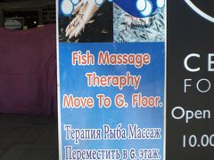 魚による皮膚の活性化・マッサージ効果を狙った新感覚マッサージです。