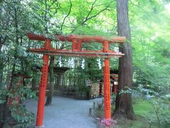 40年ぶりの京都・嵯峨野