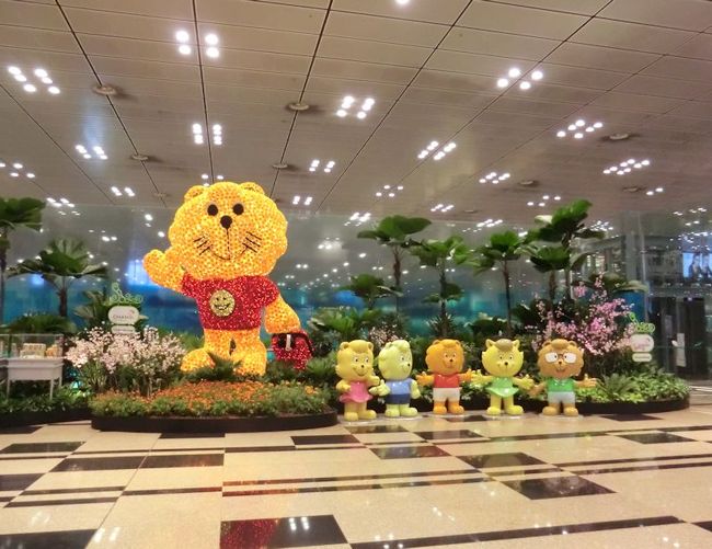 今年はどこに行こう。<br /> <br />もともと遠出好きなんですが<br />前回の旅がかなり遠出だったこともあり<br />今回は近場のアジアで我慢しておこう、そう考えたのが<br />そもそもの間違いでした(*_*;<br /><br />航空券を購入しても、どうもアガらないんです。<br />わくわく感のようなものが起こりません。<br />一応ちゃんと検討して、何日必要か考えた上で決めたことだったのに。<br /><br />結局、そのままでは後悔するような気がして<br />後からフライトを追加しプラン変更。<br />若干めちゃくちゃツアーに出発です。<br /><br />趣味に我慢は禁物。(名言?)<br /> <br />