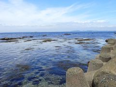 海を見に房総ドライブ。日運寺のあじさいも綺麗でした。