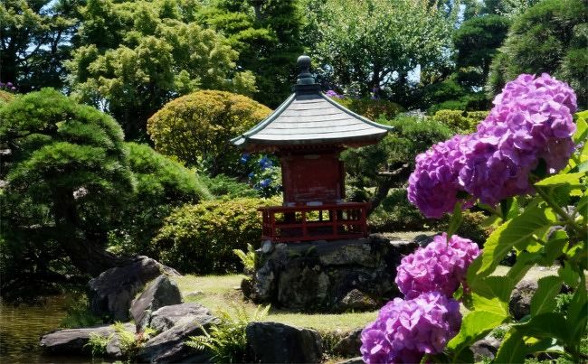 まだまだあじさい 和の庭園に咲く 水戸のあじさいまつり 保和苑 水戸 茨城県 の旅行記 ブログ By まりも母さん フォートラベル まだまだあじさい 和の庭園に咲く 水戸のあじさいまつり 保和苑 水戸 茨城県 の旅行記 ブログ By まりも母さん フォートラベル