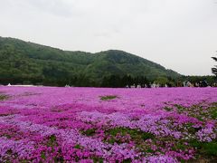 富士芝桜祭り