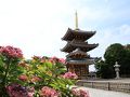 関西空港・泉佐野の旅行記