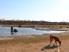 2015年1月11日：多摩川親水公園探訪