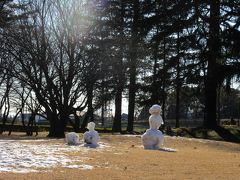 2015年2月1日：武蔵野の森探訪　武蔵野公園～野川公園～武蔵野の森公園