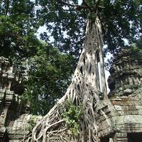 JALビジネスクラスで行くベトナム・カンボジア周遊旅行６日間の旅③★アンコールワット遺跡群見学の後にハノイ→ハロン湾へと長距離の移動でヘロヘロに(^_^;)