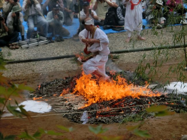 波切不動尊　金乗院火祭り<br />YFCフェスティバル　那須どうぶつ王国<br />