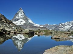 スイス花とハイキングの旅ローテンボーデンからリッフェルベルク