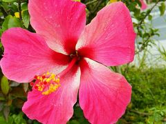 夫婦旅行】沖縄３rd☆１日目～石垣