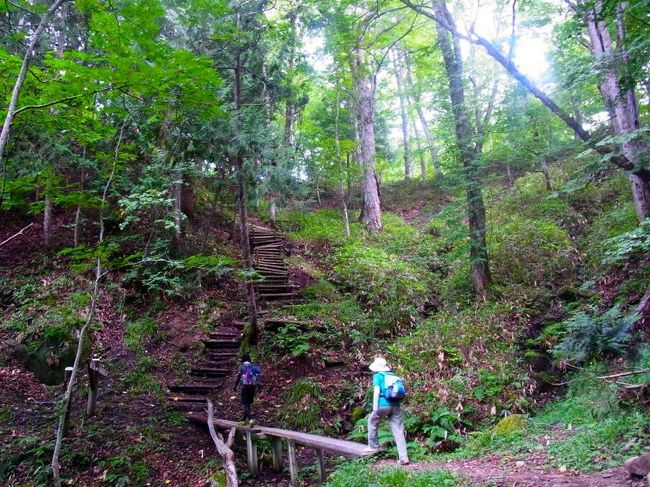 念願の、手白澤温泉に行きました。<br />秘湯の定義が「主に山奥などの交通の便が悪い場所に存在する温泉のことを指す。読んで字の如く、秘＝他人に知らせたくないような温泉のことである」（ウィキペディア）というなら、ここはまさに秘湯中の秘湯。だって、新宿から特急使用で約2時間揺られた後にバスで約1時間半（バスは1日に4本程度）、さらに最寄りのバス停から2時間ほど森の中を歩かないと行けないんだもの。。<br /><br />おかげさまで歩いている間は天気は崩れず、雲の間からの日差しは強くて標高が高い場所ながらむしろ暑いくらい。森林の遊歩道（途中、「遊歩」といえないところも少しあります＾＾；）は緑深くてフカフカの土、沢からの涼風が心地よく、都心ではのぞめない大自然を一身に浴びながら楽しく過ごすことができました。<br /><br />今回の旅のメンバーは紆余曲折の結果、揃うことがちょっと珍しい大学サークル仲間が集まったのもまたおもしろかったです。互いに気を使う必要のないビミョーなお年頃の女性3人旅。そりゃもうディープな内容のおしゃべりに花が咲きますなぁ。いろいろ勉強になりマス。はい。