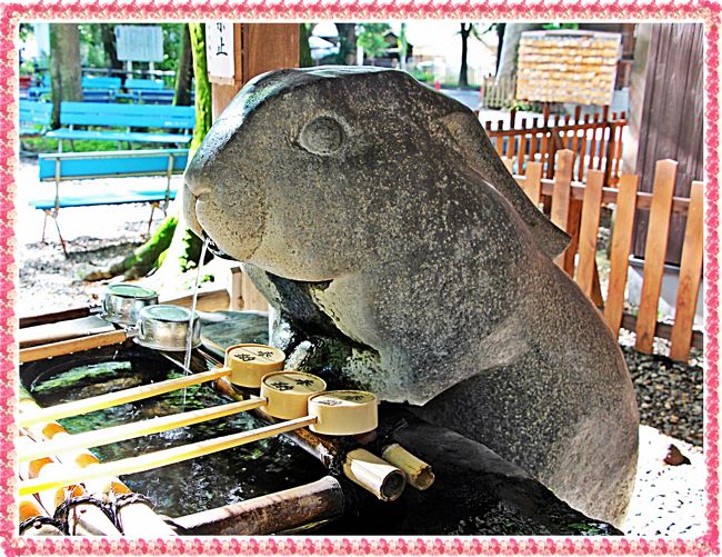 日本の神社と言えば、朱の大鳥居に阿吽の狛犬…が、真っ先に頭に浮かんでくる。<br />でも、狭くても、歩けば広い日本。<br />鳥居も無ければ狛犬もいない、そんな神社も存在する。<br /><br />古来、狛犬の役目は神社に邪気が入り込まない為の監視役と云われている。<br />狛犬がいなかったら、神社は魔の巣窟に…。<br />百鬼夜行が神社に入り込み、神の社が妖の社に…。<br /><br />しかし、そんなに心配することもない。<br />神社を守ることのできる動物は狛犬だけではない。<br />虎やネズミ、牛にウサギ…。<br />犬以外の生き物にだって、古の昔から伝わるパワーがある。<br /><br />今回、私が訪れた調（つき）神社もそんな社の一つ。<br />月うさぎに守られた神社を旅してきた。