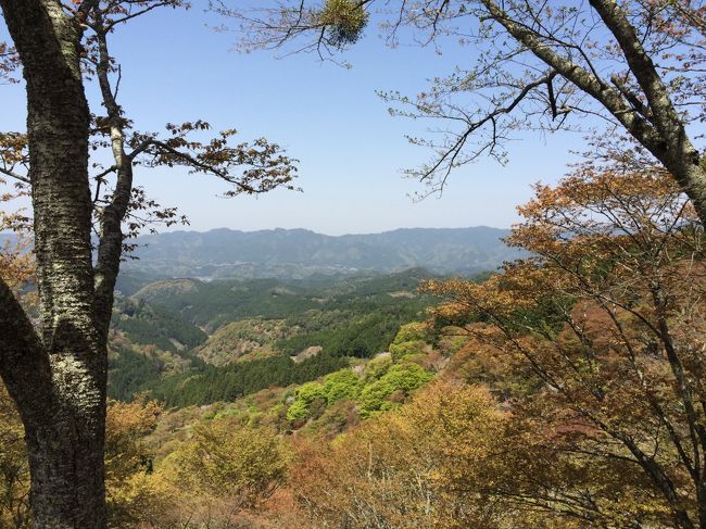 吉野の桜を見にいきましたが、時期が少し遅く、奥千本まで。<br />２０１５年最後の吉野山の桜と世界遺産を堪能。