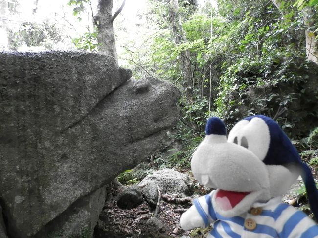 グーちゃんだよ。<br />足摺岬の主と呼ばれるグビラにご挨拶。<br />そしてこの地の景観を代表する<br />白山洞門を楽しみお宿へチェックイン!<br />さっそく足摺温泉に浸からせていただくの。<br />わーーい!
