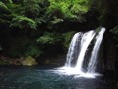 伊豆の旅①踊子歩道を歩いて河津七滝めぐり