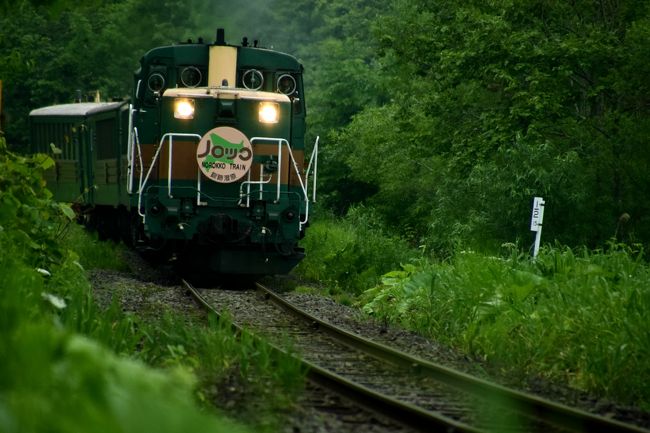 オリオンツアーが企画している「道東フリーパス」を利用して、初夏の北海道、道東地方を巡るローカル線の旅を満喫してきました。<br /><br />--<br />初夏の北海道、道東地方を巡る旅 ～新緑の釧路湿原に訪れてみた～<br />http://4travel.jp/travelogue/11027760<br /><br />初夏の北海道、道東地方を巡る旅 ～オホーツク海周辺に咲き広がるルピナスを見に訪れてみた～<br />http://4travel.jp/travelogue/11027979<br /><br />初夏の北海道、道東地方を巡る旅 ～オホーツク海周辺に咲き広がるエゾスカシユリやエゾキスゲを見に訪れてみた～<br />http://4travel.jp/travelogue/11028146<br /><br />初夏の北海道、道東地方を巡る旅 ～日本最東端の地と最東端の地に広がる絶景を見に訪れてみた～<br />http://4travel.jp/travelogue/11028559<br /><br />初夏の北海道、道東地方を巡る旅 ～新緑の厚岸湖・別寒辺牛湿原に訪れてみた～<br />http://4travel.jp/travelogue/11029495<br />--<br /><br />JR釧網本線沿線に広がる新緑の釧路湿原の風景を探しに細岡駅～釧路湿原駅周辺を散策してみました。