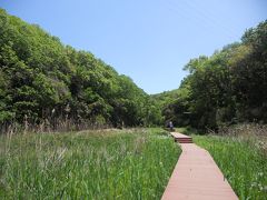 ちょっとぷらっと　小網代の森（三浦半島）