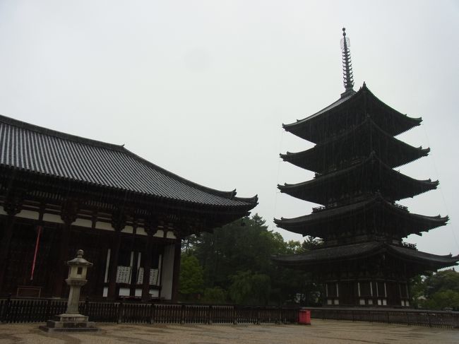 この年から一人旅が始まりました<br /><br />ＬＬＣを利用するのも初めてで、奈良に来るのは修学旅行以来、それもほとんど覚えていない<br />古事記をちらっと読んで、ガイドブックを片手に２泊３日のお寺巡りがそのまま世界遺産巡りになっていました<br /><br />いつも来れるのが６月で梅雨の真っ只中<br /><br />